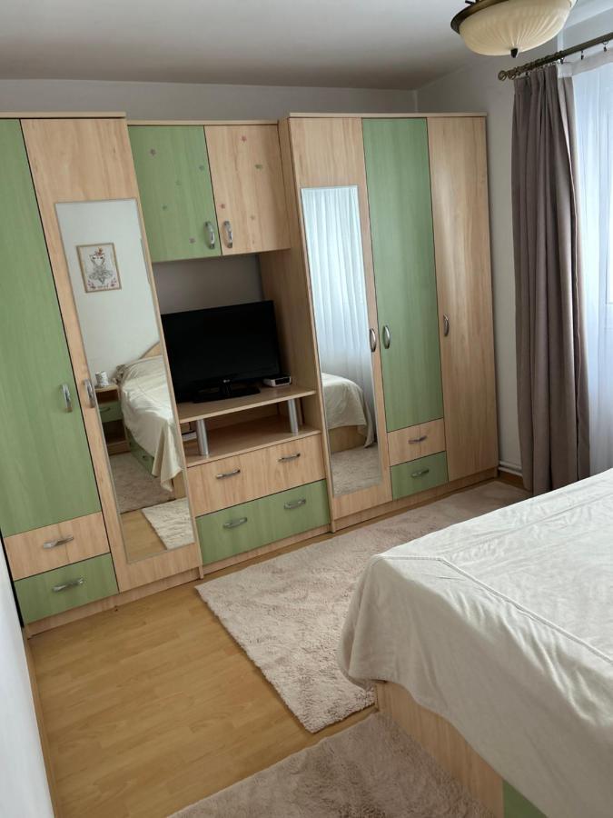 Lalelelor Apartment Suczawa Zewnętrze zdjęcie