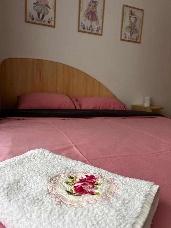 Lalelelor Apartment Suczawa Zewnętrze zdjęcie